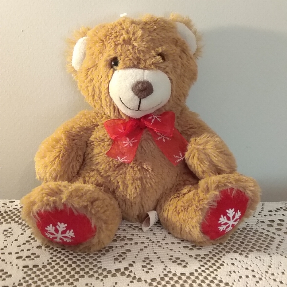 💫 Hug and Love Soft Plush Teddy Bear